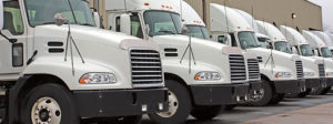 Trucking Insurance, Trust Shield